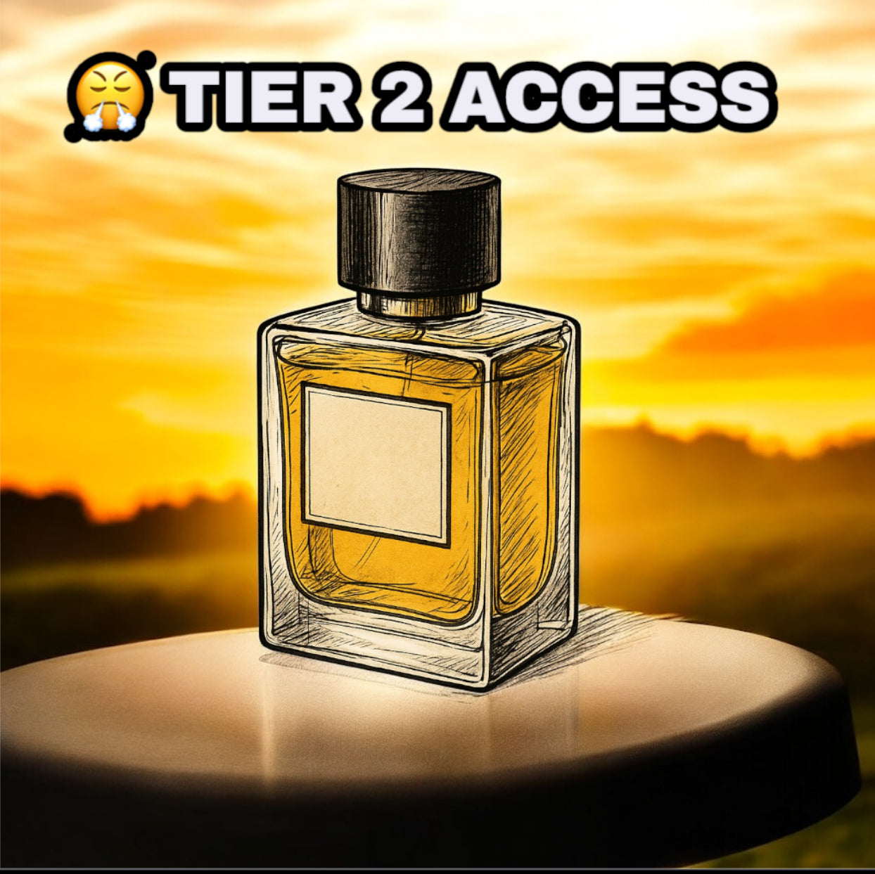 💸 Tier 2 : Standard Plug access